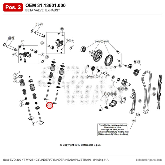 BETA VALVE, EXHAUST – OEM 31.13601.000, position 2 on the Beta EVO 300 4T MY26 cylinder/cylinder head/valvetrain drawing