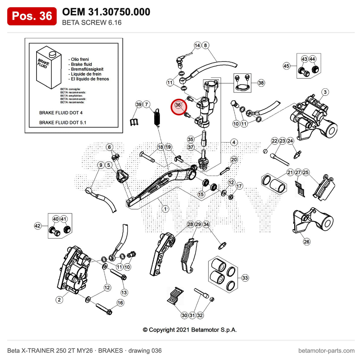 BETA SCREW 6.16 – OEM 31.30750.000, position 36 on the Beta X-TRAINER 250 2T MY26 brakes drawing