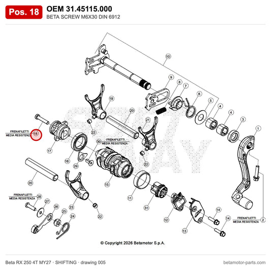 BETA SCREW M6X30 DIN 6912 – OEM 31.45115.000, position 18 on the Beta RX 250 4T MY27 shifting drawing
