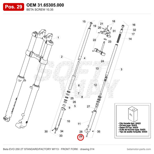 BETA SCREW 10.35 – OEM 31.65305.000, position 29 on the Beta EVO 250 2T STANDARD/FACTORY MY13 front fork drawing