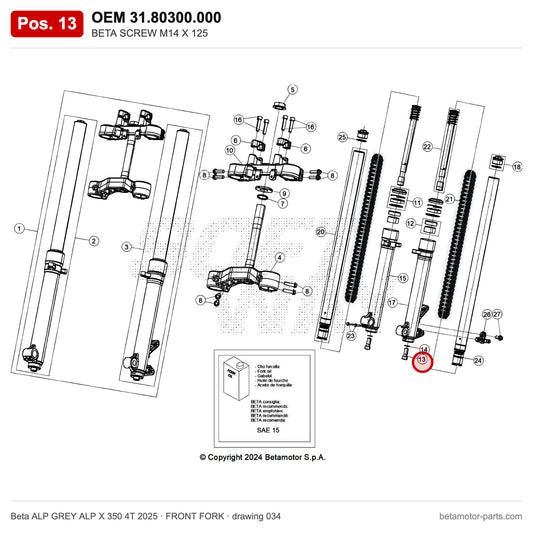 BETA SCREW M14 X 125 – OEM 31.80300.000, position 13 on the Beta ALP GREY ALP X 350 4T 2025 front fork drawing