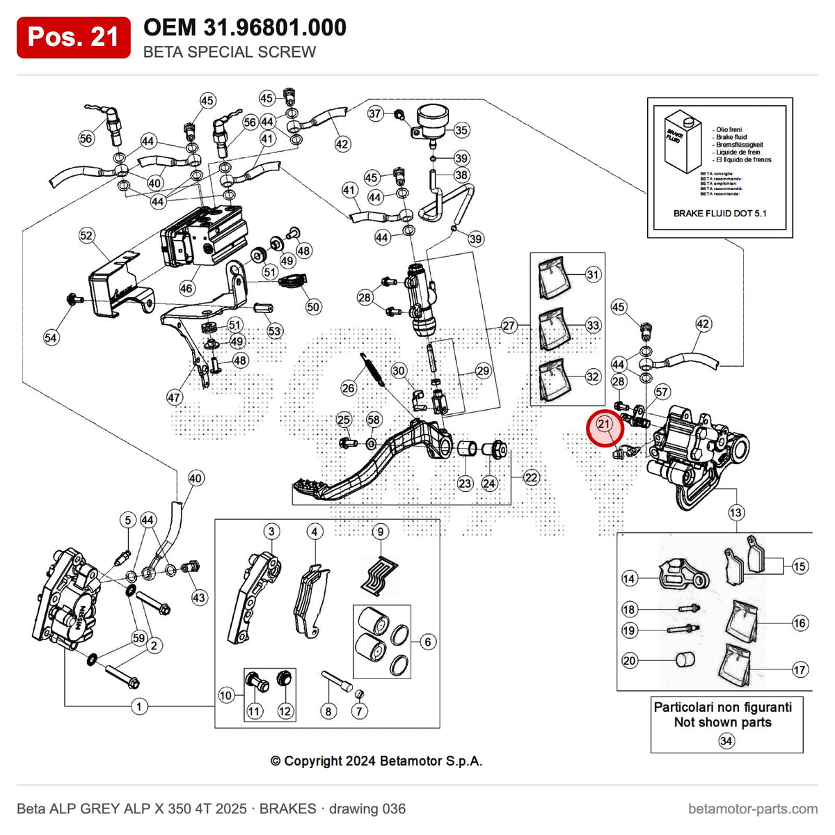 BETA SPECIAL SCREW – OEM 31.96801.000, position 21 on the Beta ALP GREY ALP X 350 4T 2025 brakes drawing