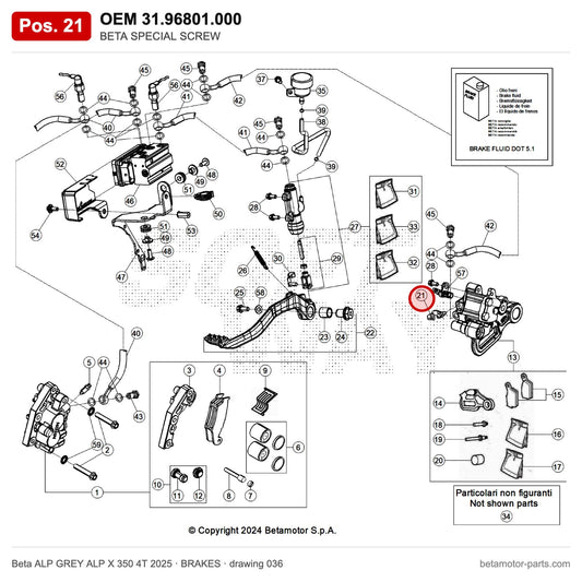 BETA SPECIAL SCREW – OEM 31.96801.000, position 21 on the Beta ALP GREY ALP X 350 4T 2025 brakes drawing