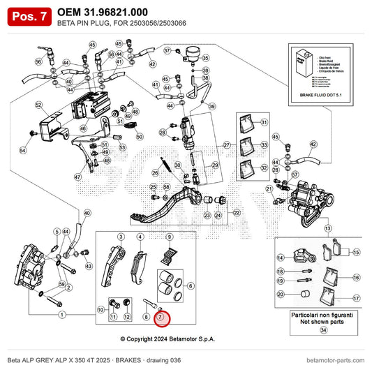 BETA PIN PLUG, FOR 2503056/2503066 – OEM 31.96821.000, position 7 on the Beta ALP GREY ALP X 350 4T 2025 brakes drawing