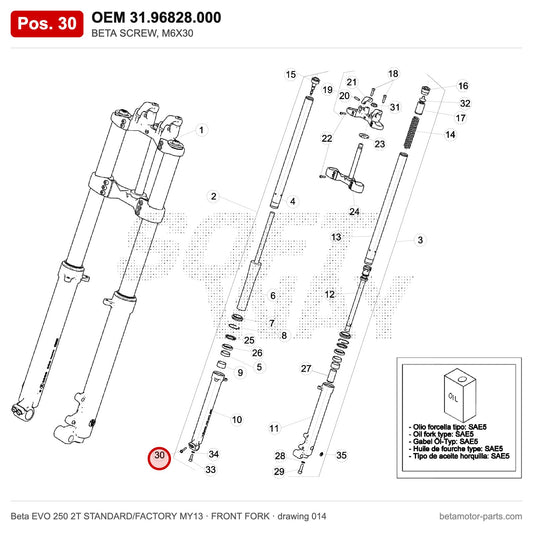 BETA SCREW, M6X30 – OEM 31.96828.000, position 30 on the Beta EVO 250 2T STANDARD/FACTORY MY13 front fork drawing