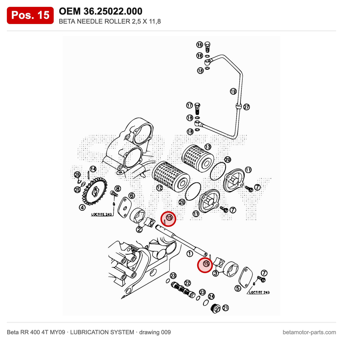 BETA NEEDLE ROLLER 2,5 X 11,8 – OEM 36.25022.000, position 15 on the Beta RR 400 4T MY09 lubrication system drawing