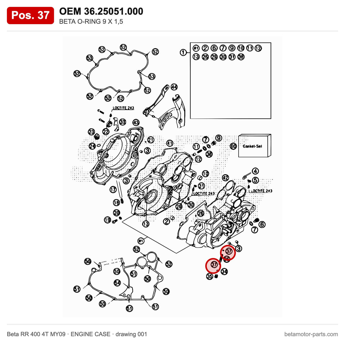 BETA O-RING 9 X 1,5 – OEM 36.25051.000, position 37 on the Beta RR 400 4T MY09 engine case drawing